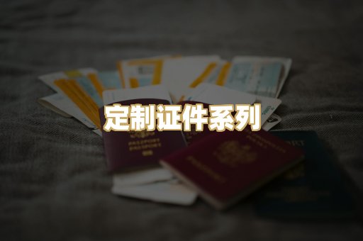 定制证件系列